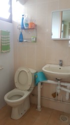 Blk 529 Bedok North Street 3 (Bedok), HDB 3 Rooms #160496142